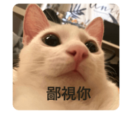 628774314