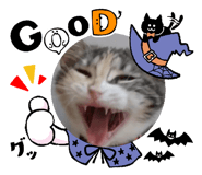 628818381