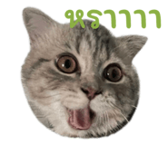 628825883