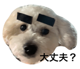 628835011