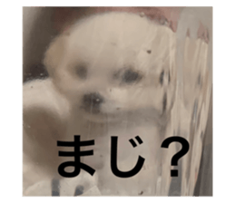 628835012