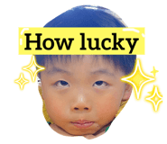 628847146