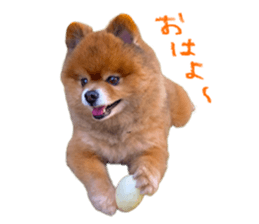 628849802