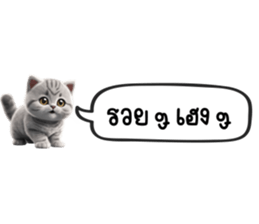 628855040