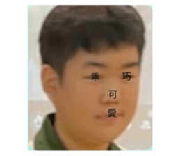628858031