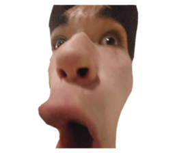 628858355