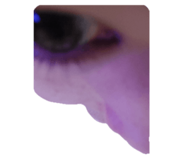 628858360