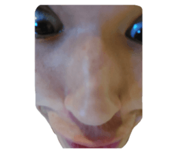 628858365