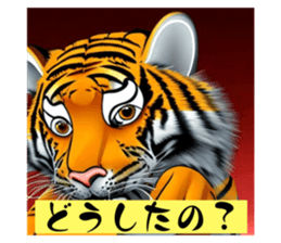 628880561