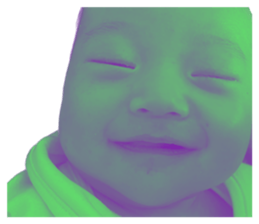628881812
