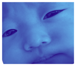 628881813