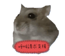 628897651