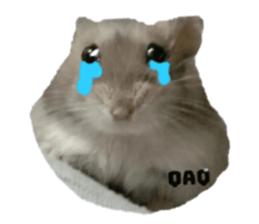 628897656