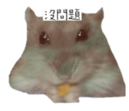 628897673