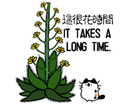 628904073