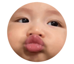 628908812