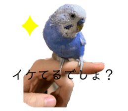 628977237