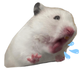 629015193