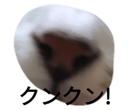 629019981