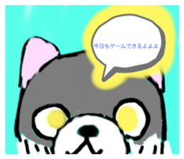 629057798