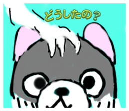 629057800