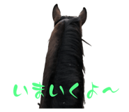 629065481