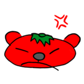 629066058