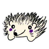 629066074