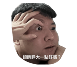 629081334