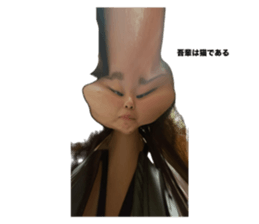629116465