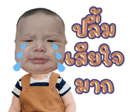 629122936