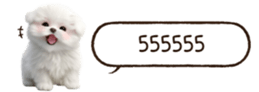 629130231