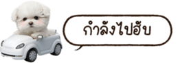 629130232