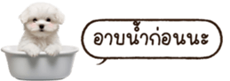 629130234