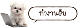 629130235