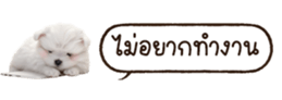 629130236