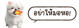 629130238
