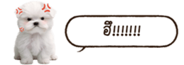 629130239