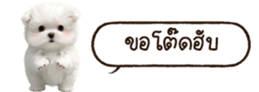 629130240