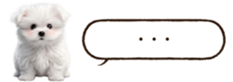629130244
