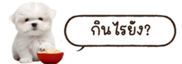 629130246