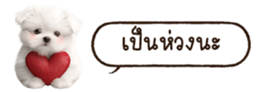 629130247