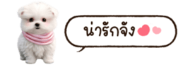 629130248