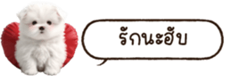 629130249