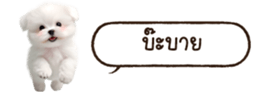 629130251