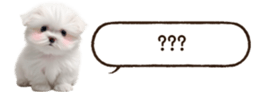 629130253