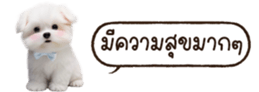 629130255