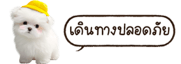 629130256