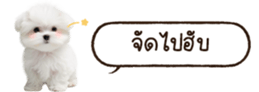 629130257