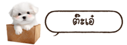 629130259